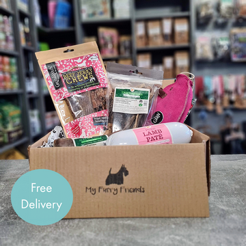 Natural Dog Treat Gift Selection Box